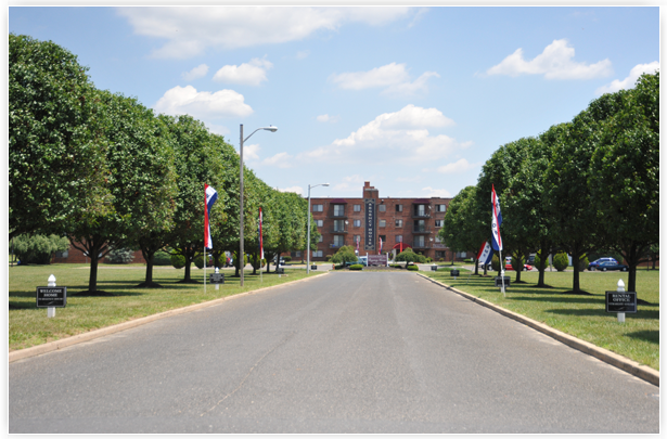 Slideshow Image 2